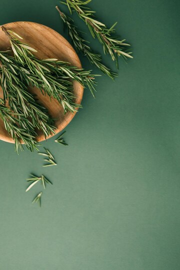 Ružmarin – miris svježine i bistrog uma